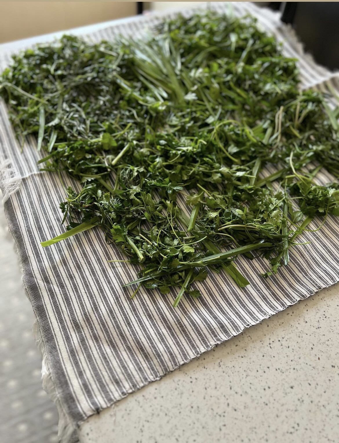 نمگیر سبزی نخی دور دوزی شده